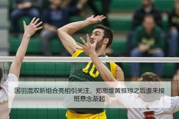 国羽混双新组合亮相引关注，郑思维黄雅琼之后谁来接班悬念渐起